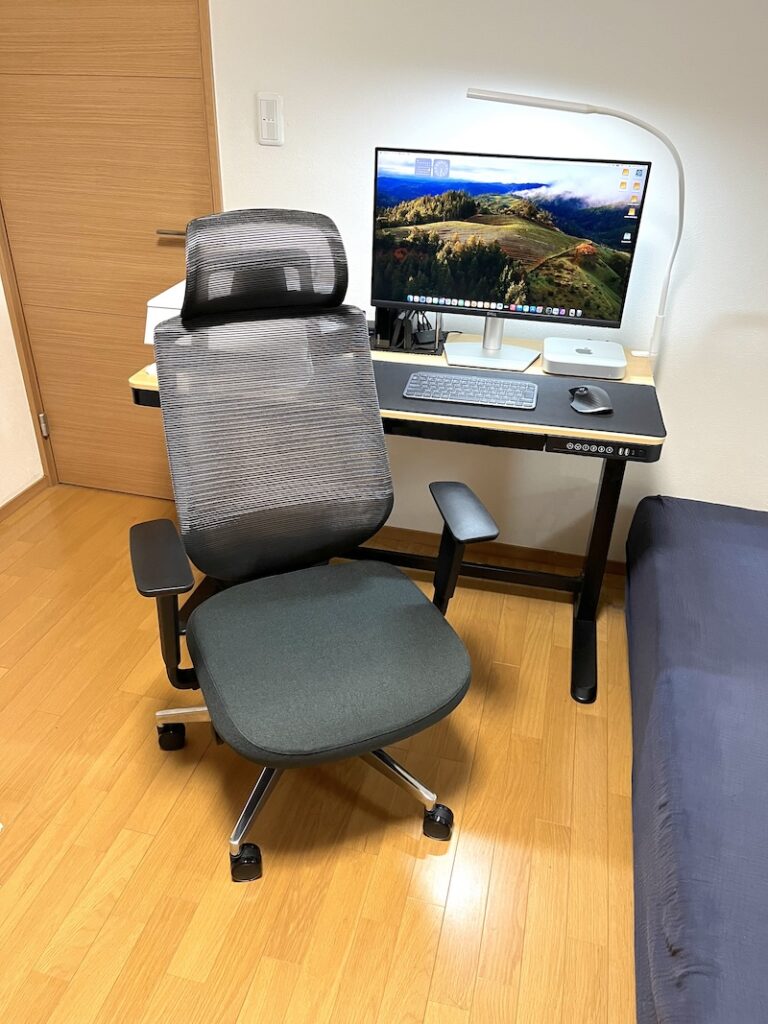 オフィスチェアFlexiSpot C2